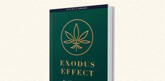 Exodus Effect Review: Don’t Spend a DIME Till You Read This Exodus Effect Review