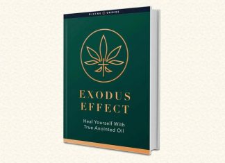 Exodus Effect Review: Don’t Spend a DIME Till You Read This Exodus Effect Review