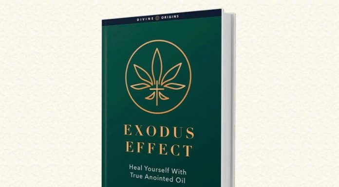 Exodus Effect Review