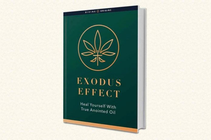 Exodus Effect Review