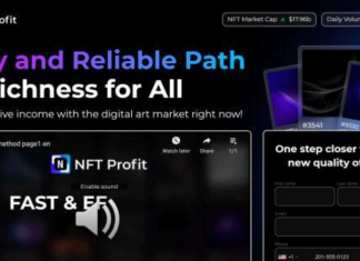 NFT-profit