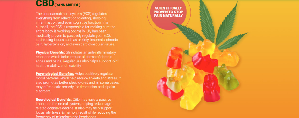 Uly CBD Gummies Reviews: Don't Buy Till You Read This - The European  Business Review
