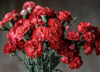 Taking Care of Flowers