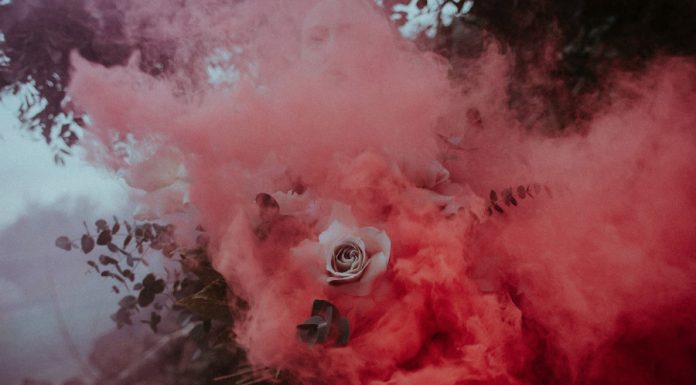 Style Trends of 2022 in the Field of Plants, Flowers and Interior