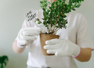 Plants Contribute to Biodiversity
