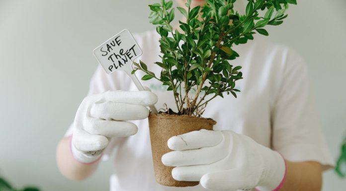 Plants Contribute to Biodiversity