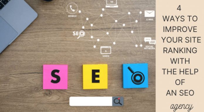 SEO Agency