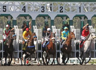 Horse Races