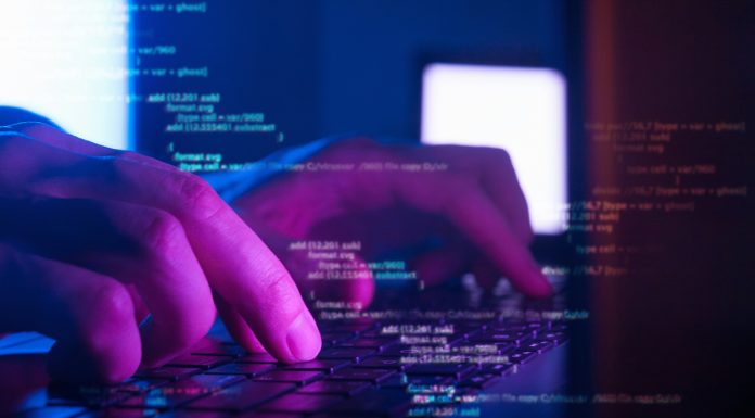 cyber security, web development and work in IT concept