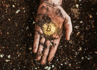 A golden bitcoin on the dirty hand of a miner. Metaphor of mining BTC and cryptocurrencies. Digital business and decentralized finances concept