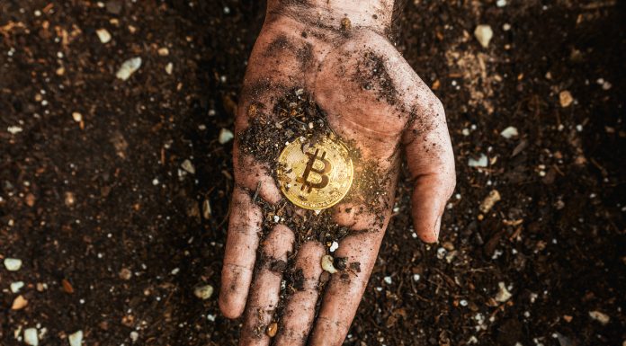 A golden bitcoin on the dirty hand of a miner. Metaphor of mining BTC and cryptocurrencies. Digital business and decentralized finances concept