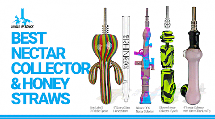 nest nectar collectors for sale