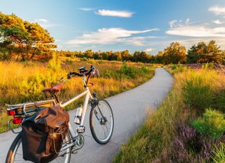 Electric Bikes Eco Friendly