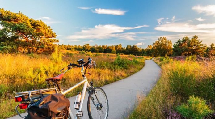 Are Electric Bikes Eco Friendly? Is It Safe For The Environment? Electric Bikes Eco Friendly