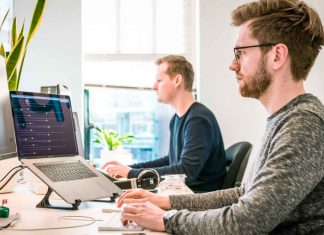 Developer---Freelance