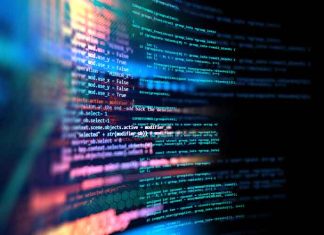 Why Use Go and Hire Golang Developers Developers