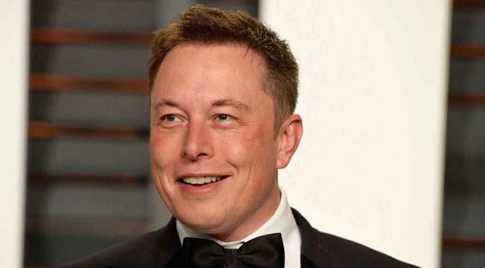 Elon Musk Twitter Purchase Raises Privacy Concerns Elon-Musk
