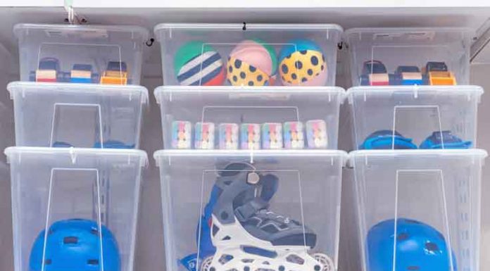 Sustainable Alternatives to Plastic Plastic