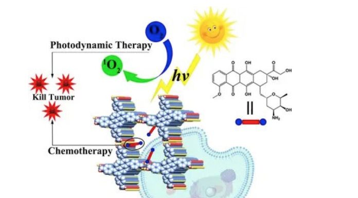 Everything that is Important to Note About the Fat Reduction Process Fat Reduction Process