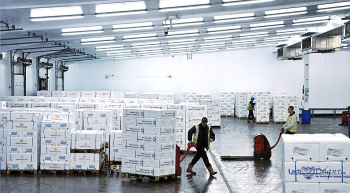 Why is Cold Chain Logistics Important for the Transportation of FMCG Goods? Cold Chain Logistics