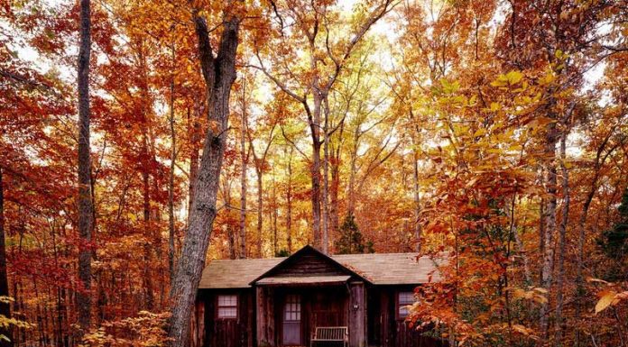 4 Tips When Setting Up Your Off-Grid Water System Water-system