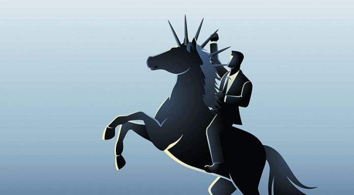 Inside the Journey of a Decacorn Decacorn