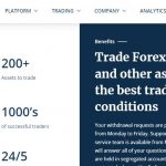 FinsRoyal Review: Features That Make Them A Market Leader fins