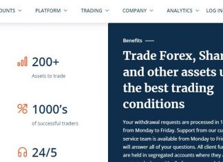 FinsRoyal Review: Features That Make Them A Market Leader fins
