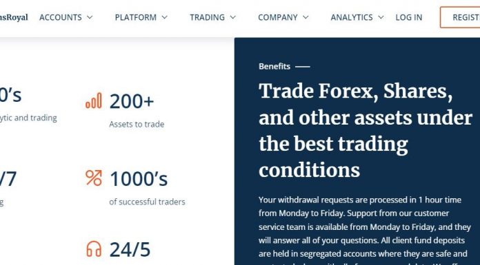 FinsRoyal Review: Features That Make Them A Market Leader fins