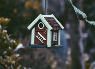 5 Things You Should Do With Payday Loan harmen-jelle-van-mourik-0yfWDwHOB0g-unsplash