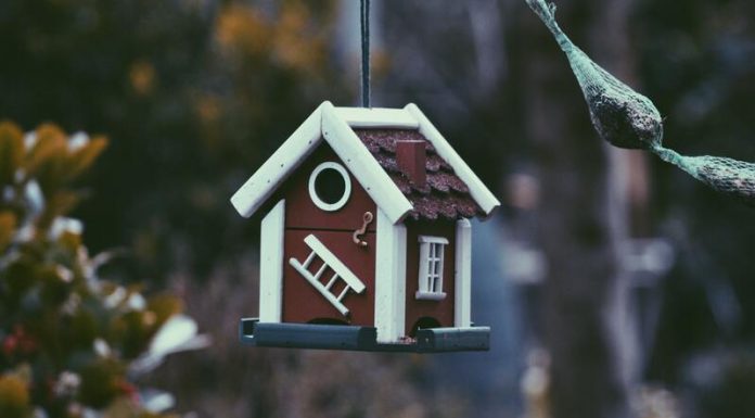 5 Things You Should Do With Payday Loan harmen-jelle-van-mourik-0yfWDwHOB0g-unsplash