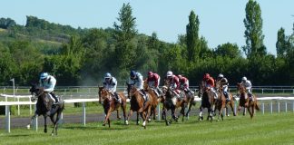 Horse Racing
