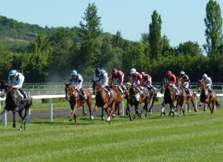 How Technology Has Changed Horse Racing Horse Racing