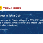 tesla coin