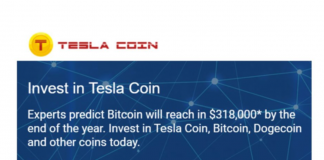 tesla coin