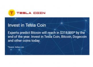 tesla coin