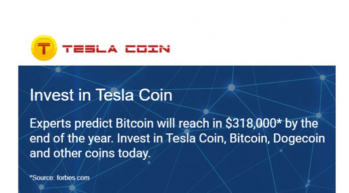 tesla coin