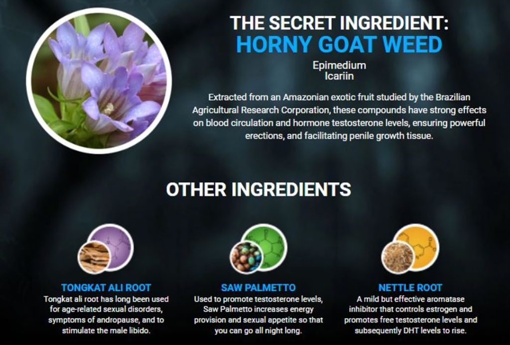 Testo Ultra NZ Price, Chemist Warehouse The European Business Review