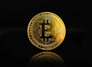 A Beginner’s Guide to Crypto for Dummies Crypto---Guide