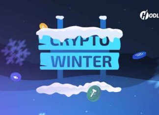Crypto-Winter