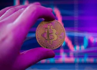 The Role of Digital Banking in the Cryptocurrency Economy Cryptocurrency---Digital