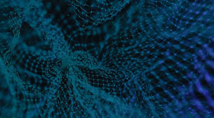 Report by NFT News Outlet NFTGators Shows VCs Are Optimistic Towards Web3 Start-ups Despite Bearish Sentiment Data