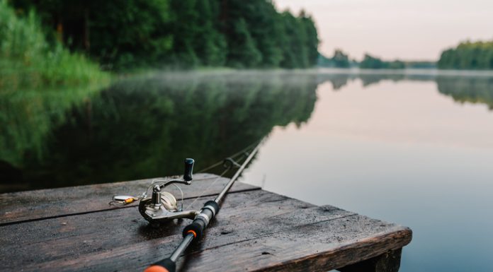 Best Way to Catch a Fish Fishing
