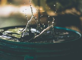 Water