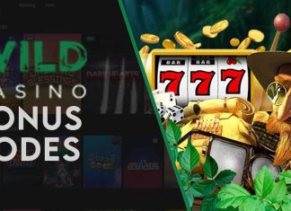 Wild Casino Bonus Codes: Find the Best Promo Codes To Use at Wild Casino
