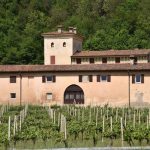 How to Start Investing in Wine and Alternate Stocks Wine---Invest