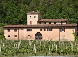 How to Start Investing in Wine and Alternate Stocks Wine---Invest