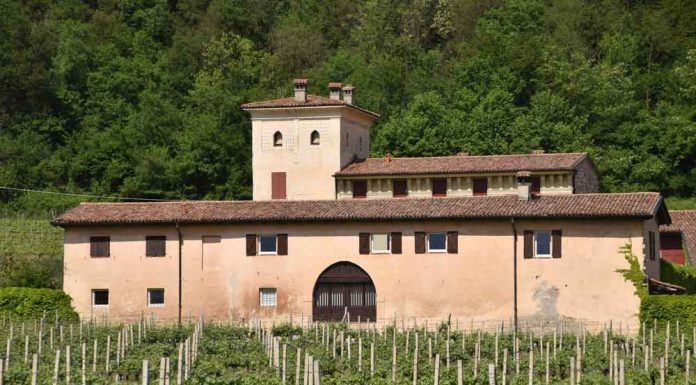 How to Start Investing in Wine and Alternate Stocks Wine---Invest