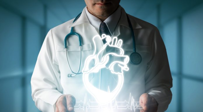 Cardiology in Germany Doctor showing heart hologram from computer.