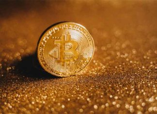 Why Crypto is a Long-Term Solution for Online Gambling crypto online gambling